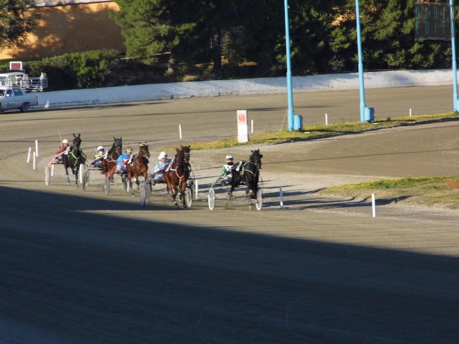 ippodromo.jpg