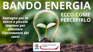 Bando Energia. Ecco come perceirlo
