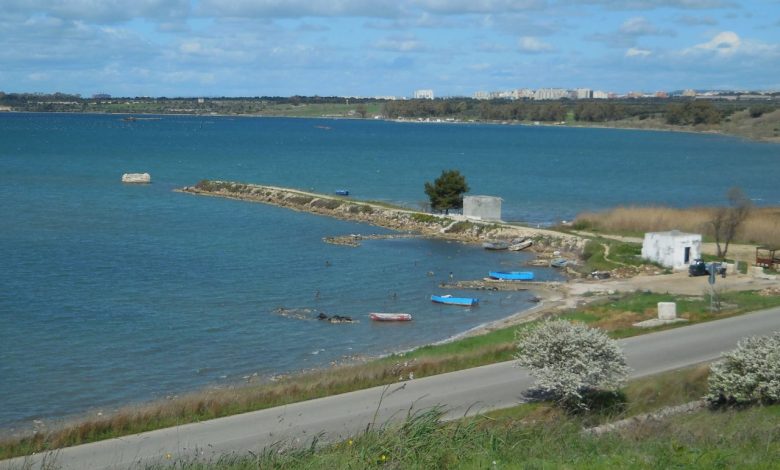 Annunciando l’evento Gianni de Vincentiis, presidente del WWF Taranto, ha infatti spiegato che «quello delle plastiche e dei rifiuti rilasciati in mare è stato uno dei tanti problemi che ha afflitto per anni il nostro bellissimo mare interno, e finalmente ora sono state effettuate nuove scelte dai miticoltori del Presidio Slow Food che vanno nella direzione della tutela di quel patrimonio marino che può e deve diventare uno dei punti di forza della rinascita di Taranto