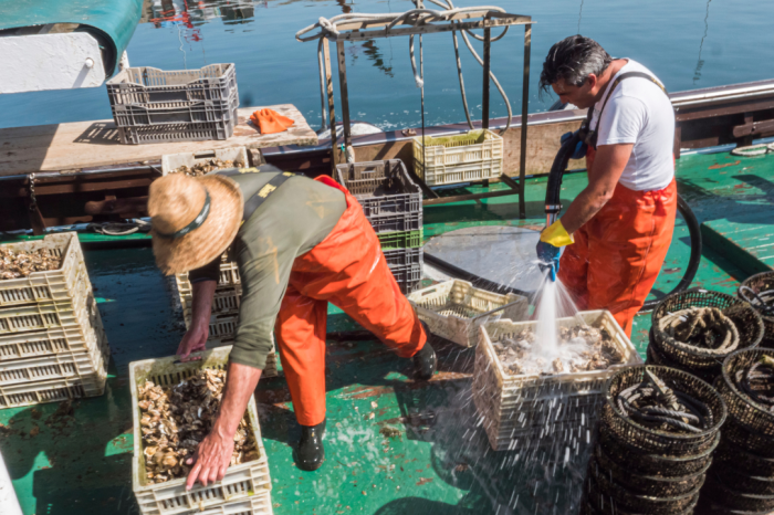 Pesca pugliese: Approvata la Legge di Bilancio 2024 che estende sgravi e sostegni alle imprese del mare