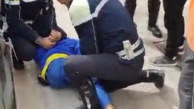 Ve la racconto io la storia del vettorino porta pacchi...