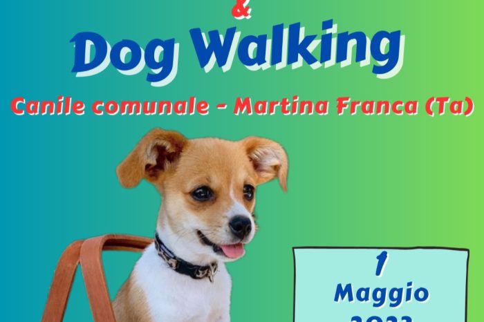 Martina Franca Lunch bag & Dog walking - Incontro fra cittadini e simpatici amici a quattro zampe ospiti del canile