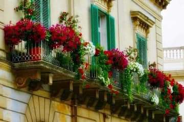 Martina Franca in Fiore: partecipa e vinci premi ecologici per il tuo balcone fiorito!