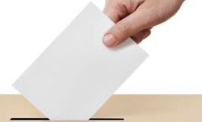 Provincia di Taranto - I votanti per l’elezione dei sindaci