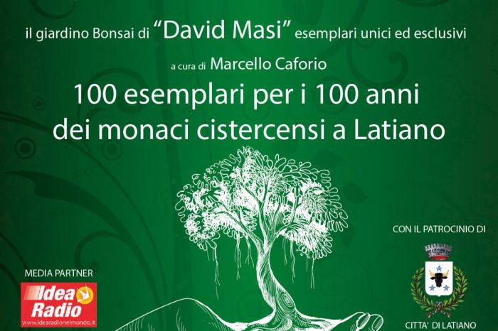 Latiano - “Bonsai World”, il giardino di bonsai di David Masi