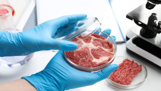 "La carne sintetica inquina di più", raccolte 40.000 firme dalla Coldiretti