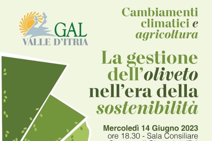 Olivicoltura sostenibile: un incontro in Valle d’Itria