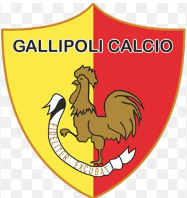 Eccellenza: Festa Gallipoli! Il club viene promosso in Serie D