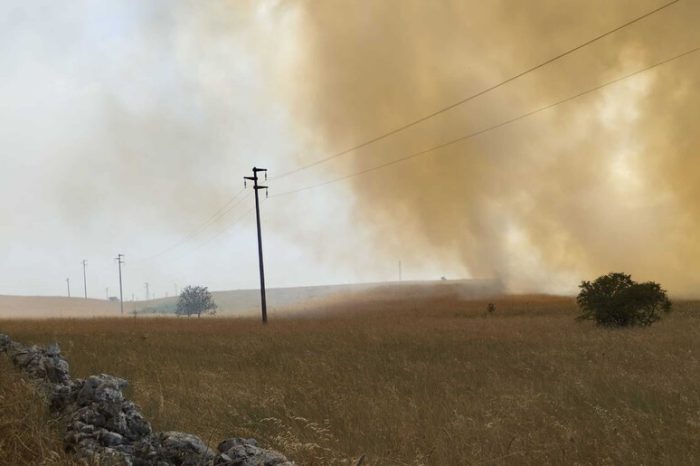 Vasto incendio ha colpito il Parco Nazionale dell'Alta Murgia