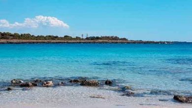 Torre Guaceto, riserva naturale