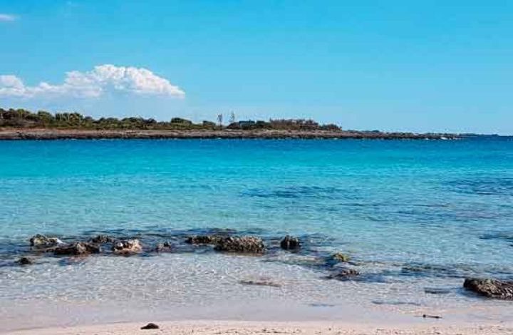 Torre Guaceto, riserva naturale