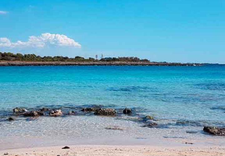 Torre Guaceto, riserva naturale