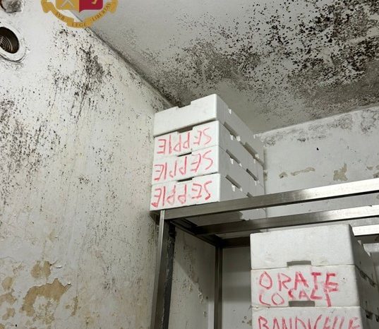 Trattoria del centro di Taranto chiusa: gravissime  violazioni delle norme igienico sanitarie