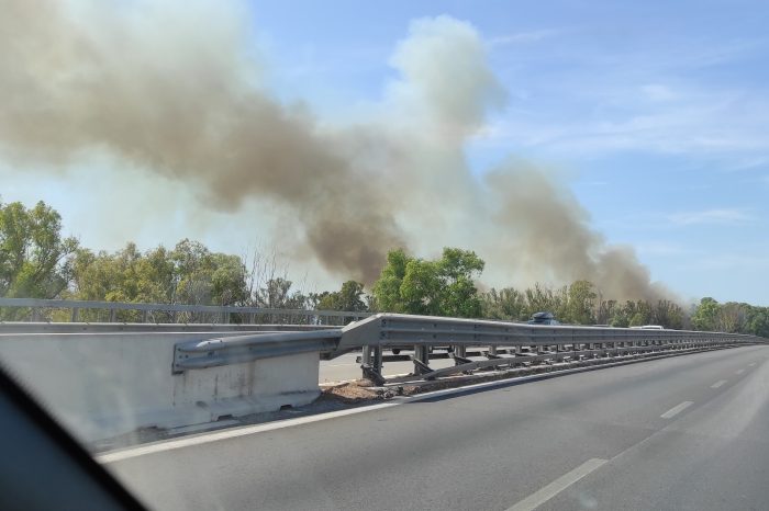 Incendio devastante nella pineta del Galeso a Taranto