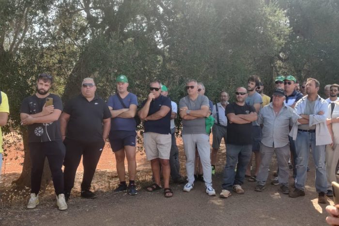Uva a prezzi da fame, a Taranto sit-in di protesta dei viticoltori pugliesi