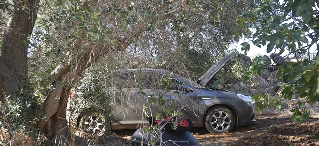 Operazione della Polizia di Stato a Brindisi contro i furti di auto: recuperate numerose vetture