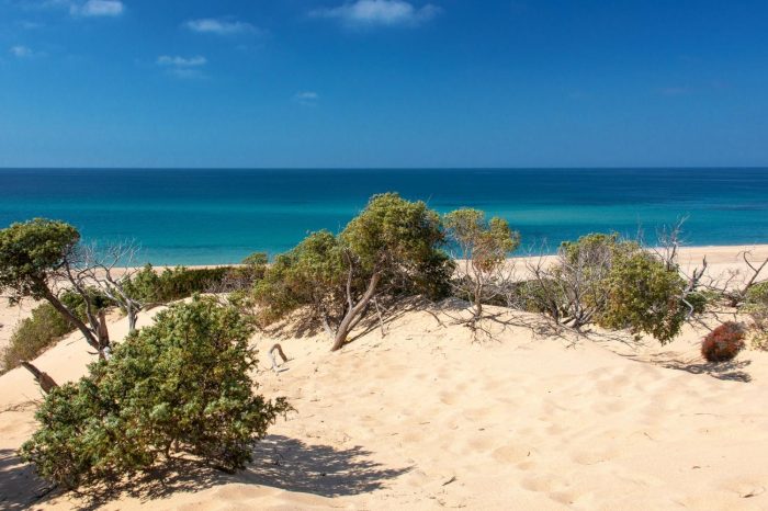 Conoscere e proteggere le dune costiere: la priorità per il FAI Puglia