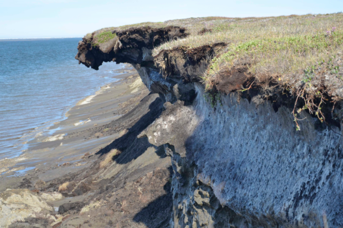 Dell'Erba: "L'erosione delle coste è un problema urgente e complesso. Occorrerà molto di più"