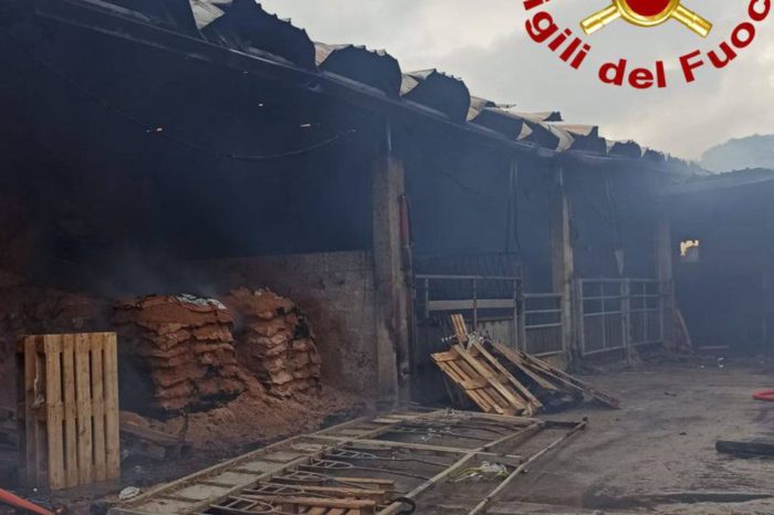 Nardò: secondo incendio in un anno presso l'azienda zootecnica di Cavallo