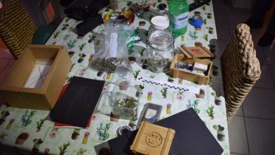 Serra di Marijuana in Casa