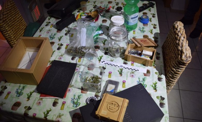 Serra di Marijuana in Casa