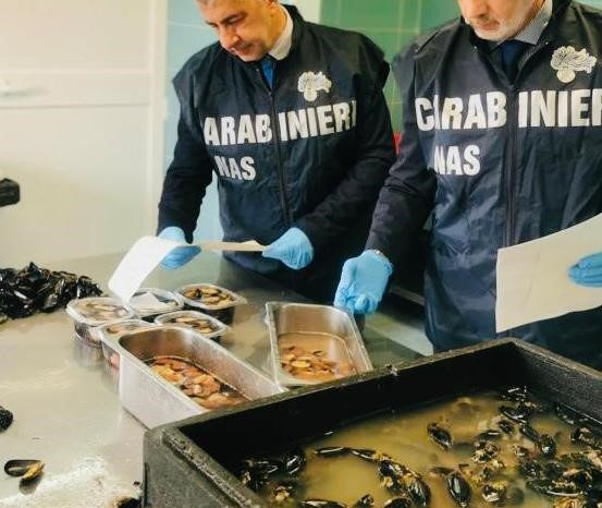 Sequestro igiene alimentare a Taranto: 150 kg di cefalopodi non conformi