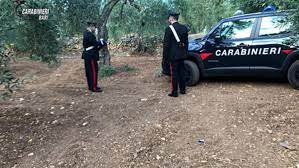Da Cia Due Mari un plauso ai Carabinieri della Radiomobile della compagnia di Castellaneta per maxi furto di olive a Marina di Ginosa