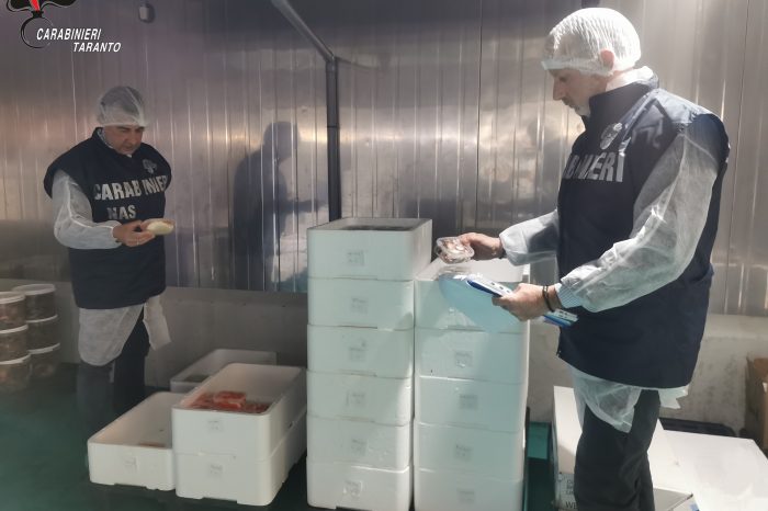 Operazione NAS a Taranto: sequestrati 650 Kg di pesce Ilegale