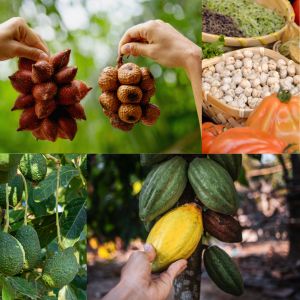 Coltivazione Illegale Scoperta in Puglia