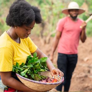 Lavoro agricolo in Puglia