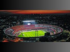 violenza negli stadi