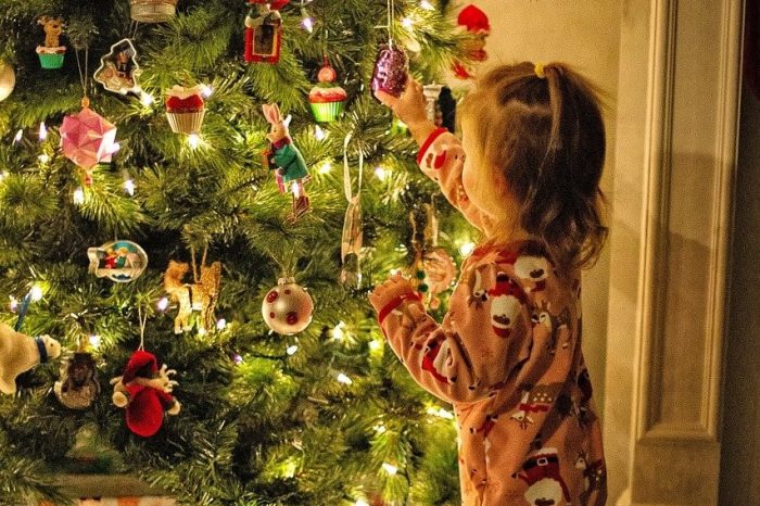 Vacanze natalizie i suggerimenti della SIPPS