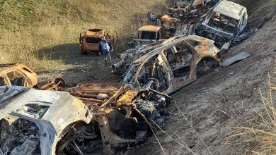 Intervento Efficace a Foggia