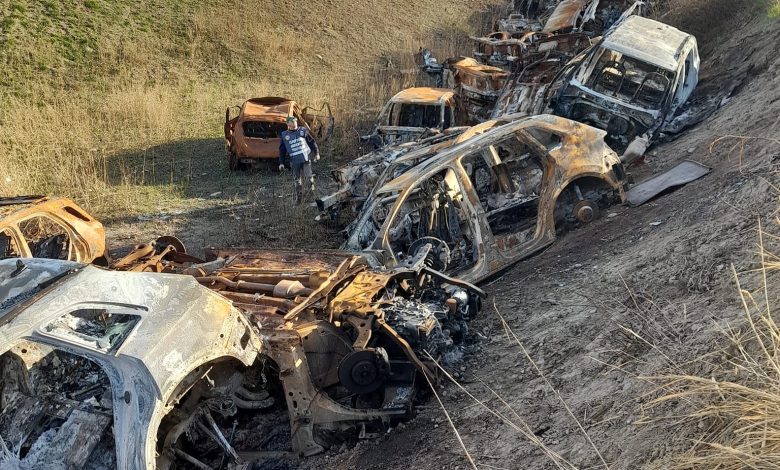 Intervento Efficace a Foggia