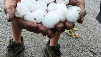 Tagli Fondi Polizze in Puglia