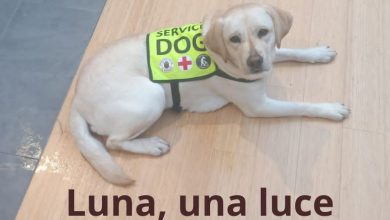 Luna supporterà Serena contro eventuali crisi epilettiche