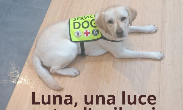 Luna supporterà Serena contro eventuali crisi epilettiche