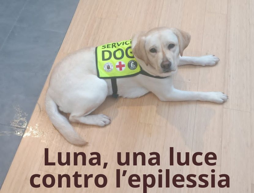 Luna supporterà Serena contro eventuali crisi epilettiche