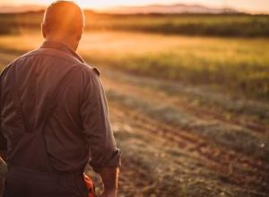 Colpo di Fucile a Cerignola