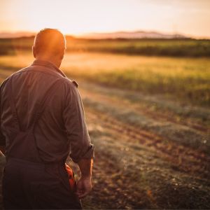 Colpo di fucile a Cerignola: agricoltore minacciato nei campi