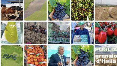 Crisi Agricola in Puglia