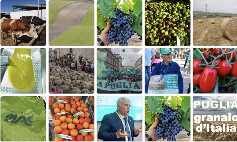 Crisi Agricola in Puglia