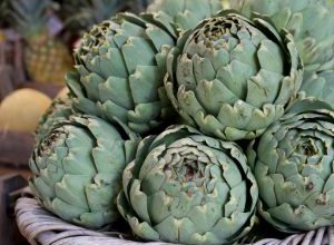 Crisi Carciofi in Puglia