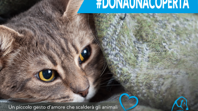 Dona Ora per la Protezione Animali in Puglia