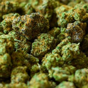 Arresto a Casarano: scoperti 2 chili di marijuana
