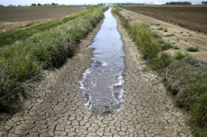 Emergenza siccità in Puglia: Coldiretti lancia l'allarme e propone un piano per recuperare l'acqua
