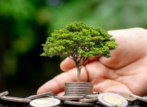 Energia Verde dai Campi Pugliesi