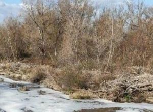 Inquinamento nel Fiume Ofanto