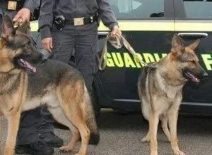 Operazione antidroga a Manfredonia