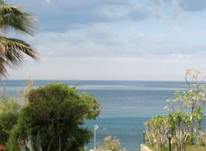 Teschio umano ritrovato sul lungomare a Bisceglie